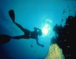 Ontdek de Schatten van de Rode Zee Duikavontuur in Egypte 0