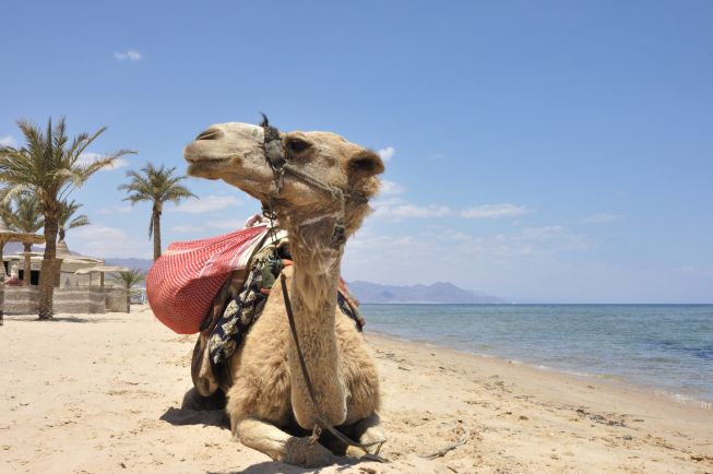 De Ultieme Egypte Rondreis Van Caïro tot de Witte Woestijn 2